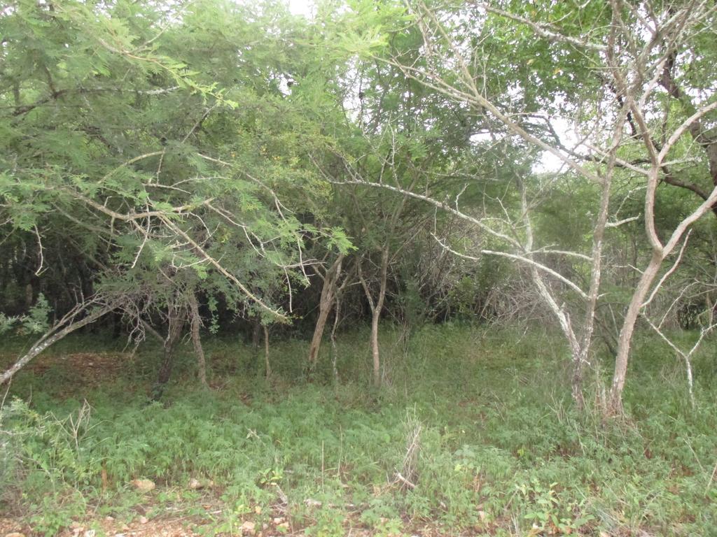 Royal Kruger Lodge Marloth Park Exterior foto